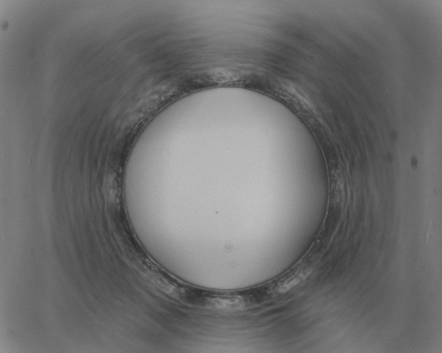 X0000060790317200512082131