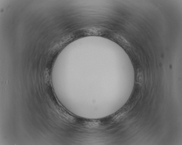 X0000060790318200512082130