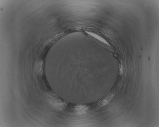 X0000060790319200512082130