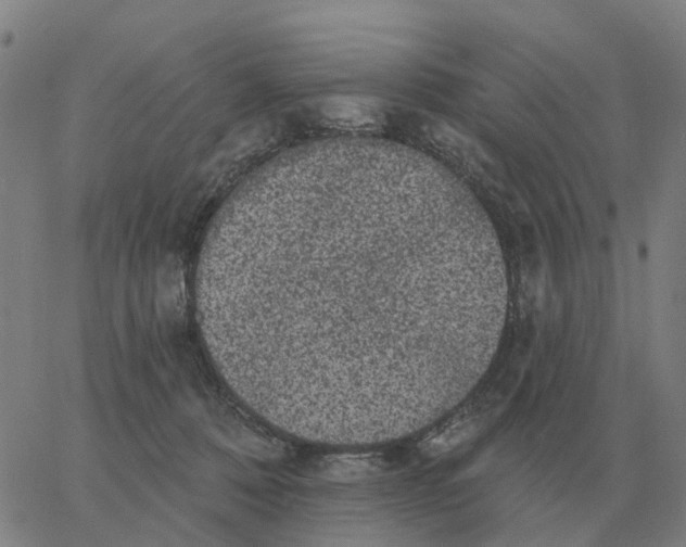 X0000060790320200512082130