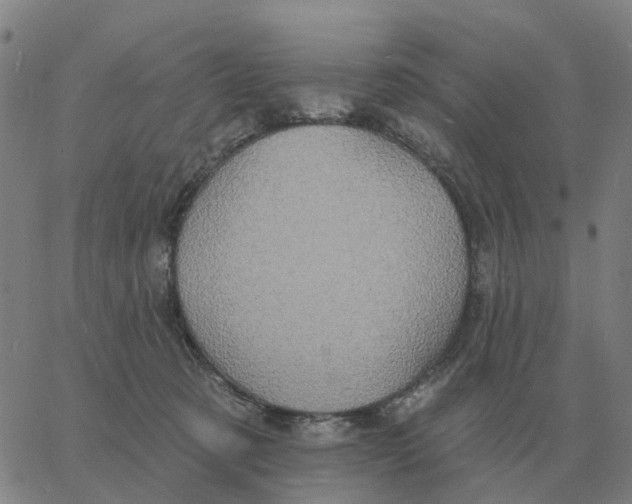 X0000060790321200512082130