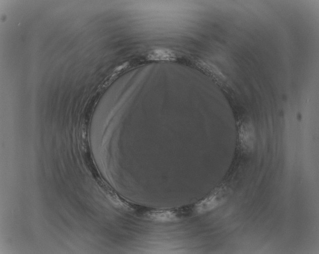 X0000060790322200512082130