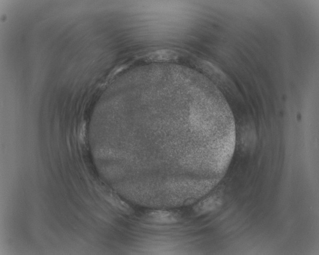 X0000060790326200512082130