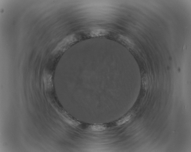 X0000060790327200512082130