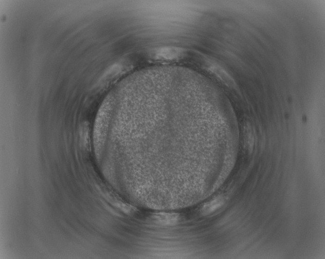 X0000060790328200512082130