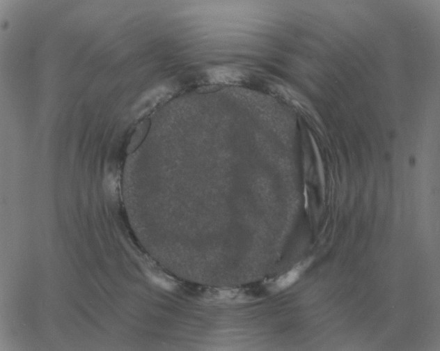 X0000060790329200512082130