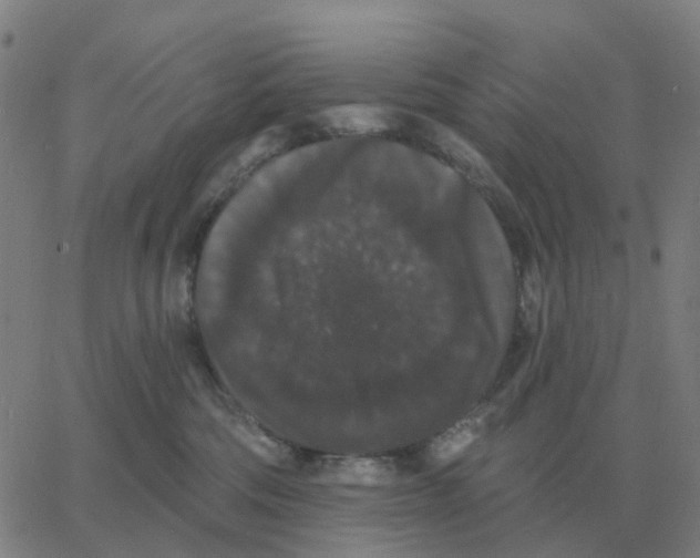 X0000060790330200512082130