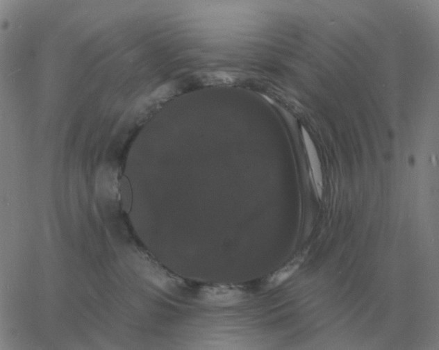 X0000060790331200512082130