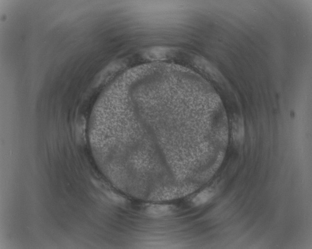 X0000060790332200512082130