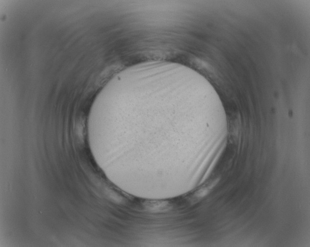 X0000060790334200512082130