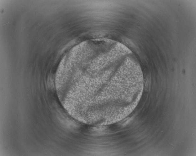 X0000060790335200512082130