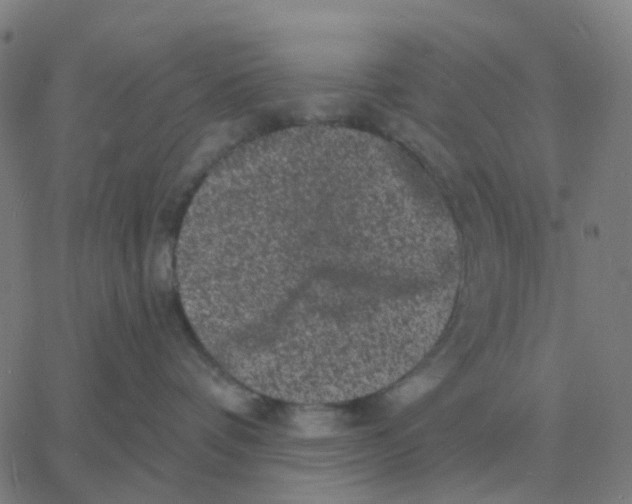 X0000060790336200512082130