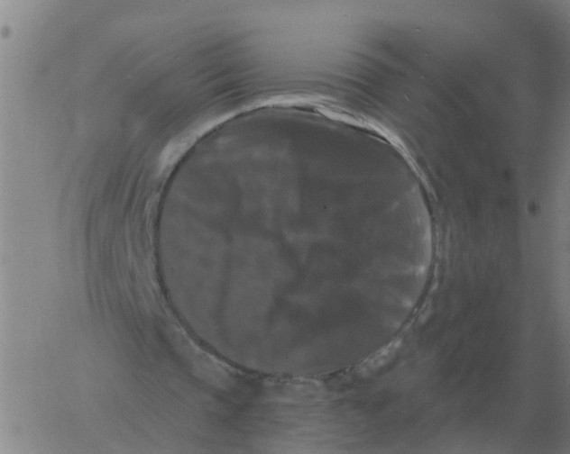 X0000060790337200512082129