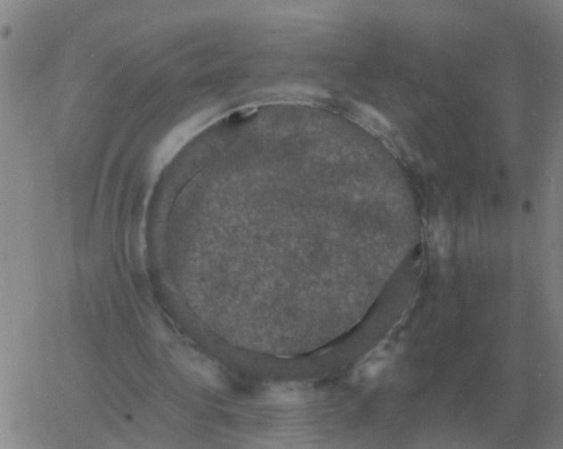 X0000060790340200512082129