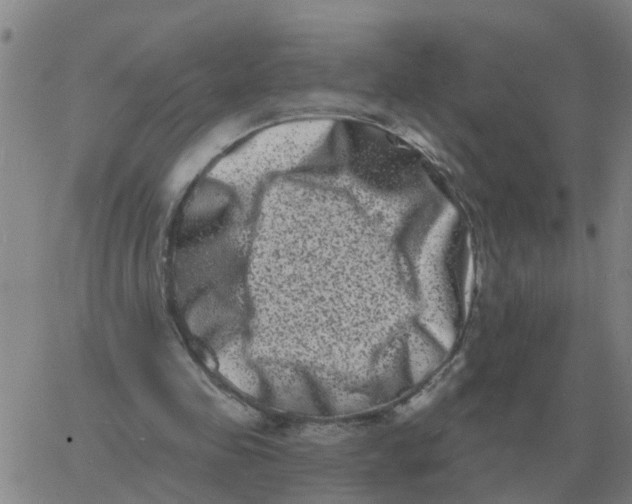 X0000060790341200512082129