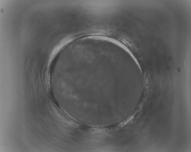 X0000060790343200512082130