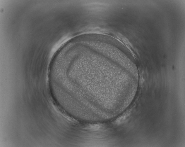 X0000060790344200512082130