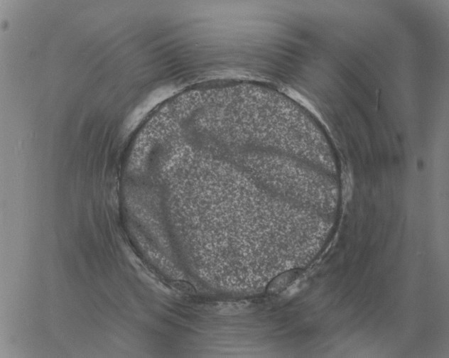 X0000060790345200512082130