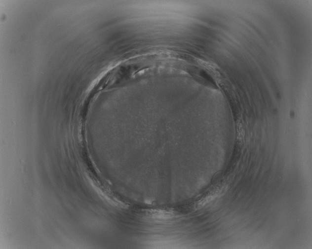 X0000060790347200512082130