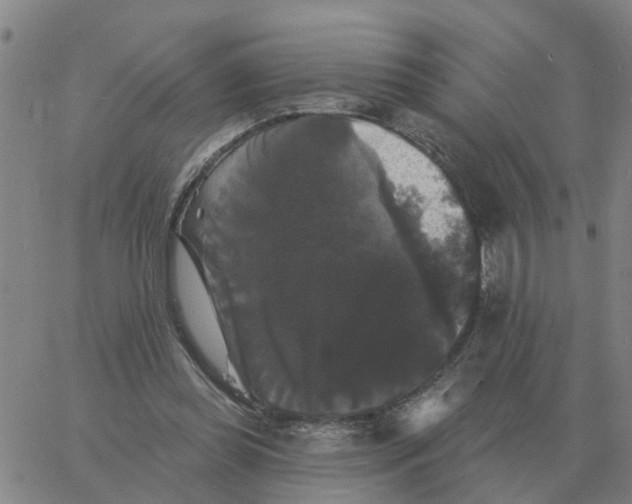 X0000060790349200512082130