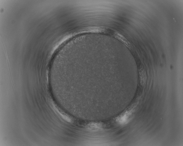 X0000060790350200512082130