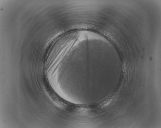 X0000060790352200512082130