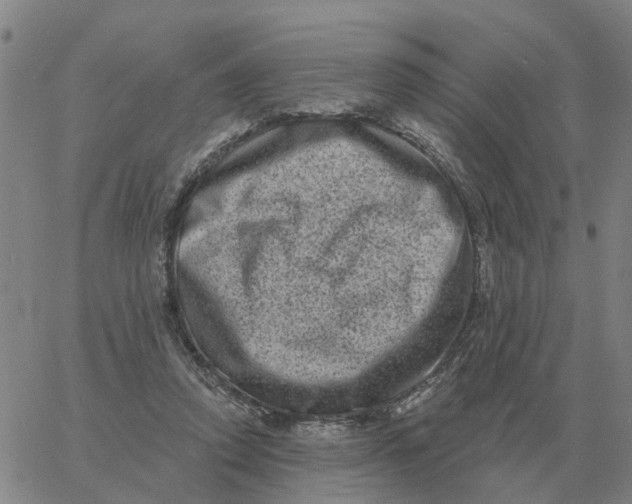 X0000060790354200512082130