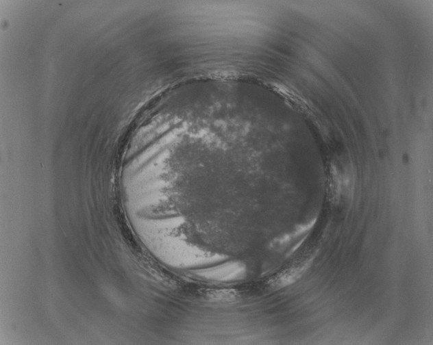 X0000060790355200512082130