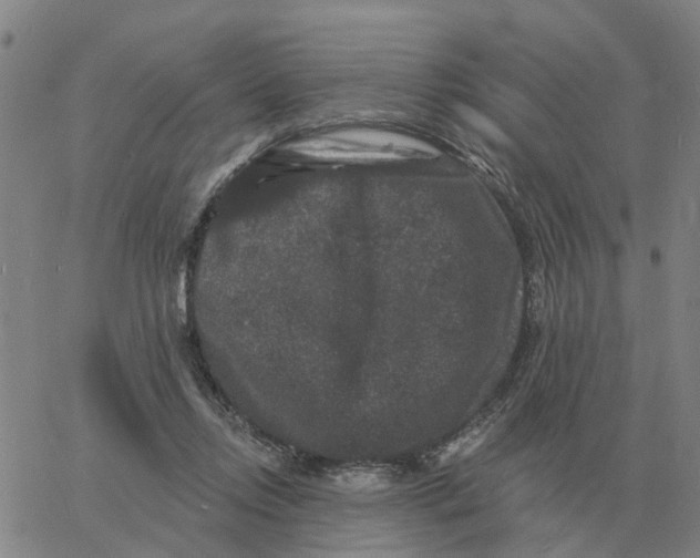 X0000060790358200512082130