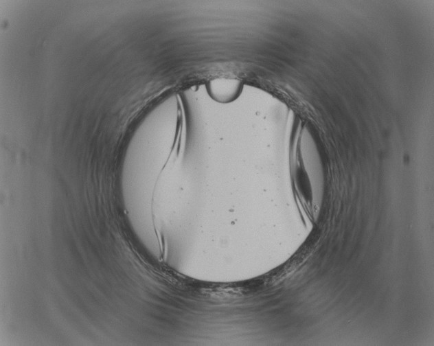 X0000060790359200512082130