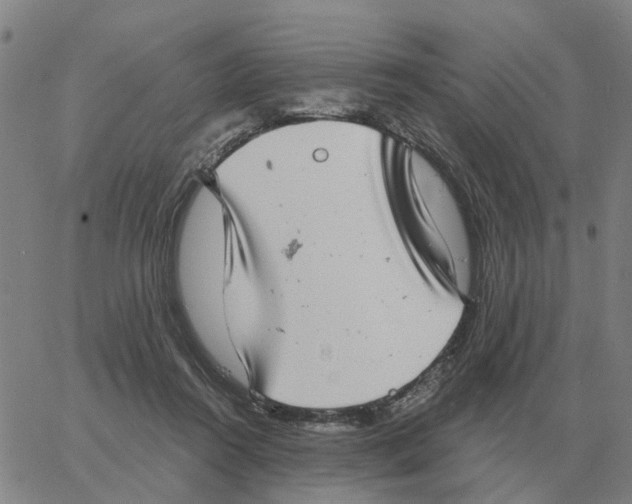 X0000060790360200512082130