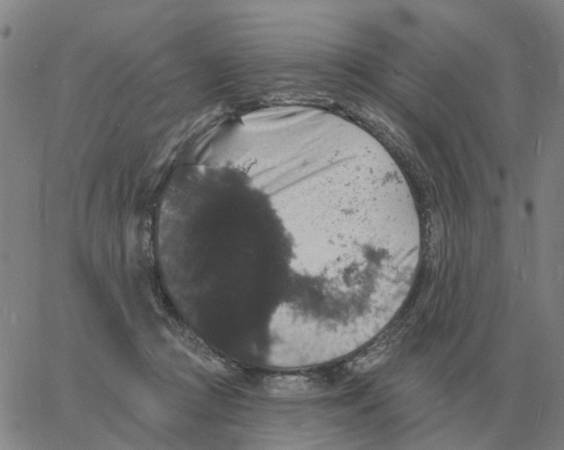 X0000060790361200512082130