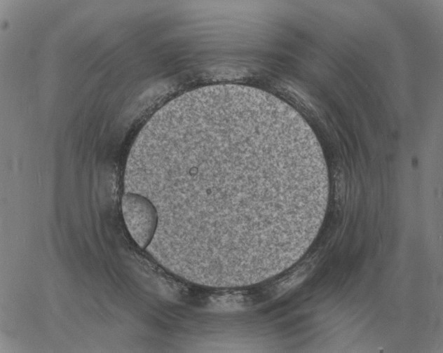 X0000060790362200512082130