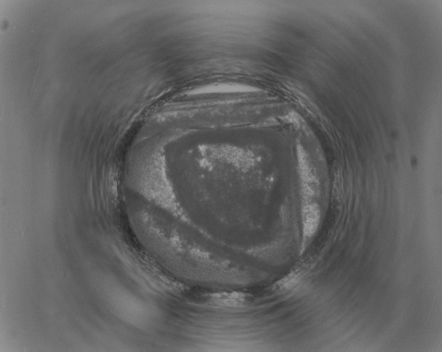 X0000060790363200512082130