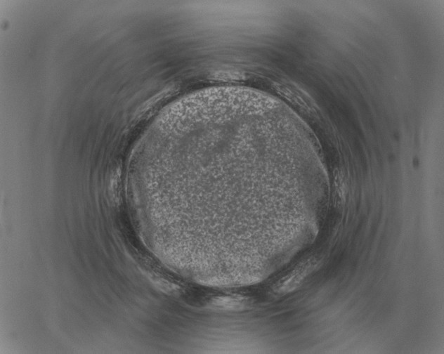 X0000060790364200512082130