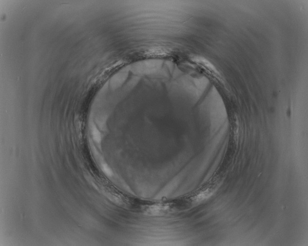 X0000060790366200512082130