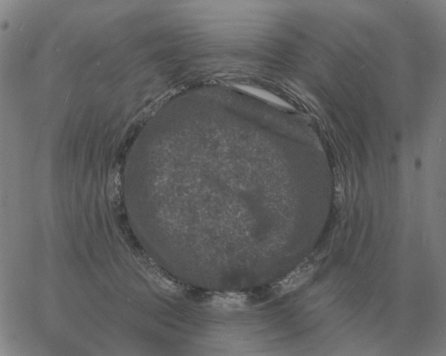 X0000060790369200512082130