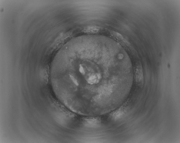 X0000060790370200512082130