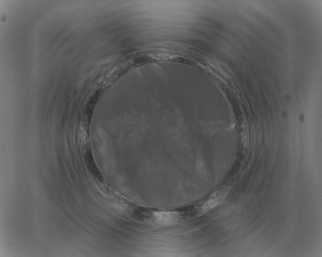 X0000060790371200512082130