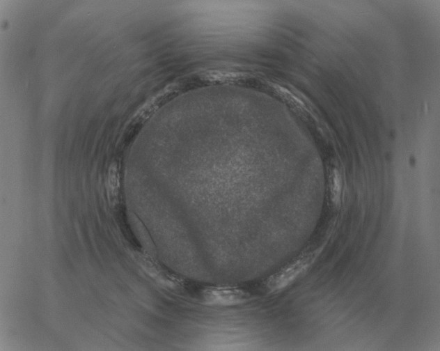 X0000060790372200512082130