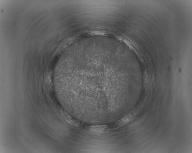 X0000060790373200512082130