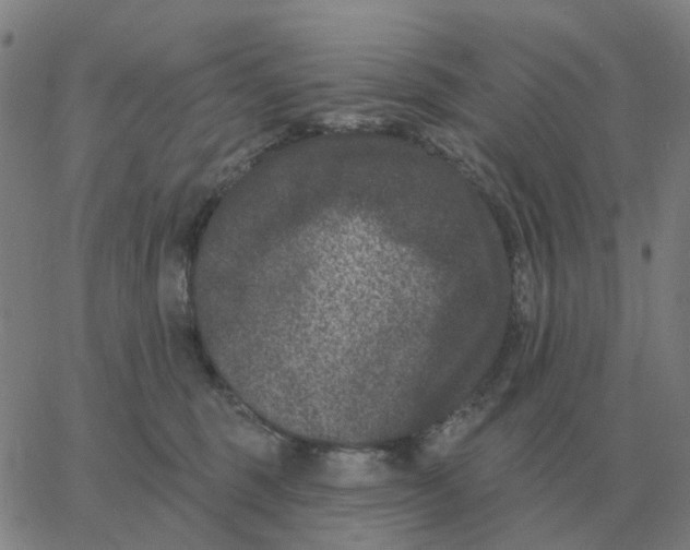 X0000060790375200512082130