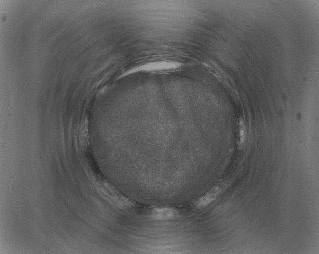 X0000060790376200512082130