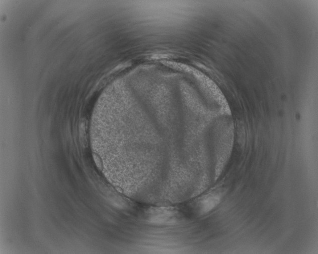 X0000060790378200512082130