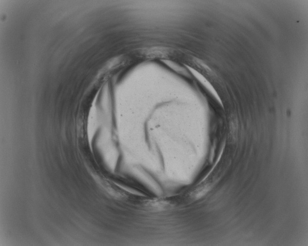 X0000060790379200512082130