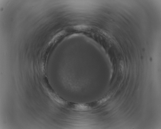 X0000060790380200512082130