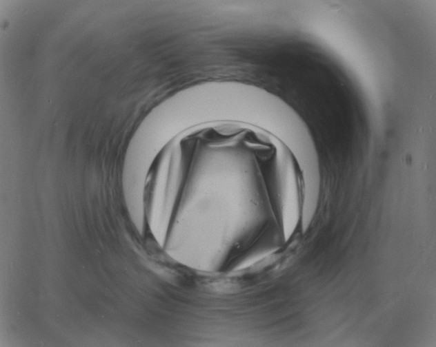 X0000060790383200512082130