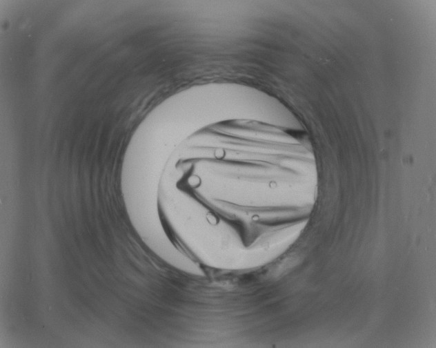 X0000060790384200512082130