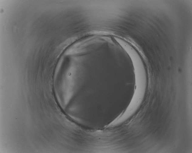 X0000060790385200512082129