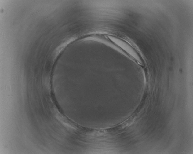 X0000060790386200512082129